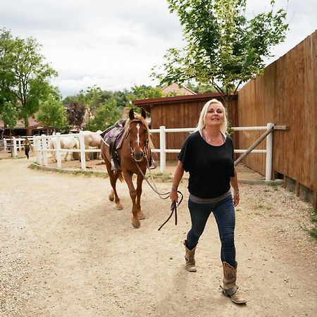 Ranchzimmer Am Hippo-Campus Reit- Und Therapiezentrum Deutsch Haslau Bagian luar foto