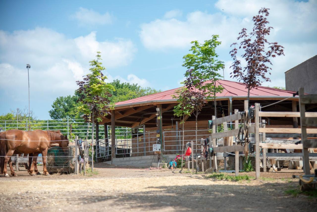 Ranchzimmer Am Hippo-Campus Reit- Und Therapiezentrum Deutsch Haslau Bagian luar foto