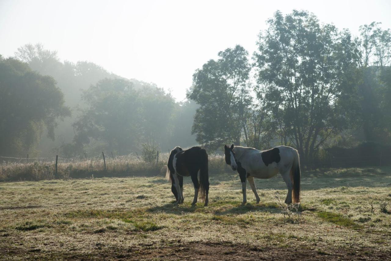 Ranchzimmer Am Hippo-Campus Reit- Und Therapiezentrum Deutsch Haslau Bagian luar foto