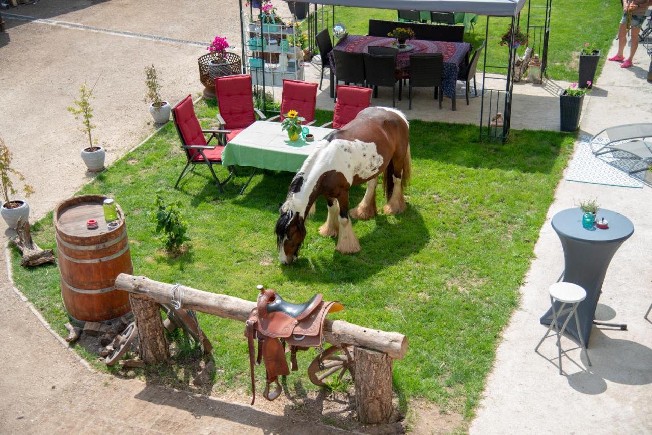 Ranchzimmer Am Hippo-Campus Reit- Und Therapiezentrum Deutsch Haslau Bagian luar foto