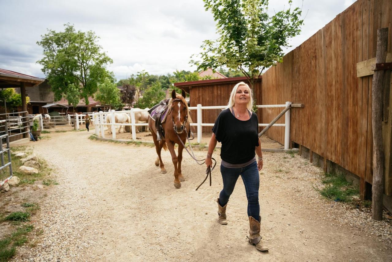 Ranchzimmer Am Hippo-Campus Reit- Und Therapiezentrum Deutsch Haslau Bagian luar foto